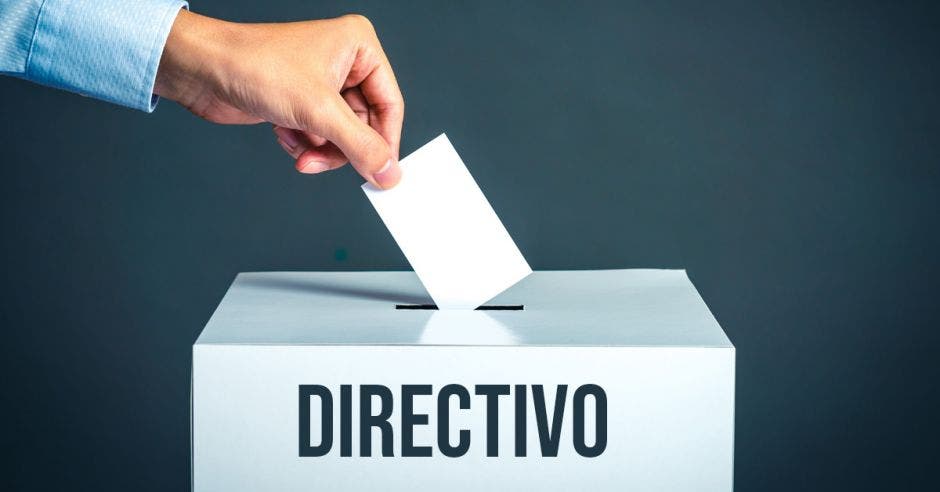 Directivas