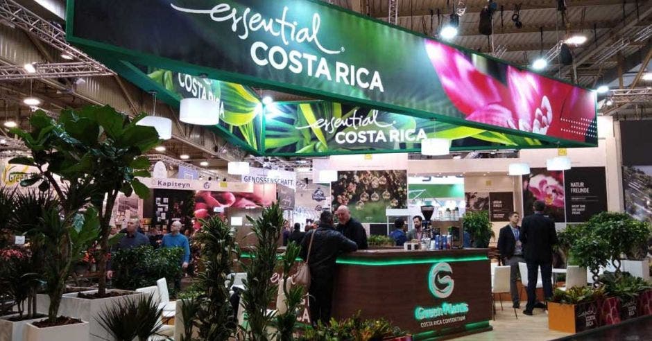 estand con exhibición de plantas