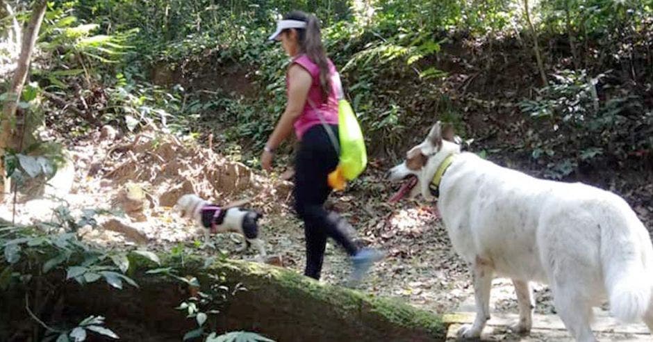 Desde julio del año pasado se realizan mensualmente estas caminatas y cada vez el grupo crece más. Cortesía Helena Ugalde/La República