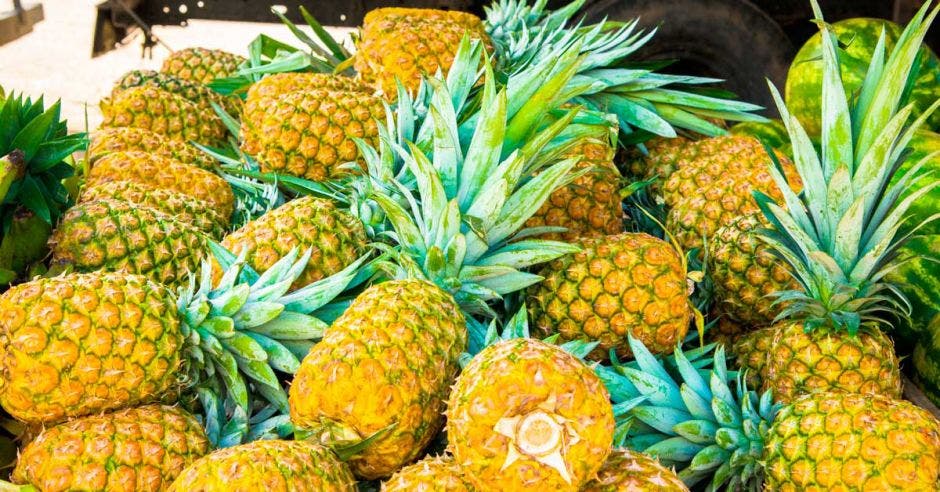 La piña dorada es sólo uno de los productos costarricenses que se está exportando a China.