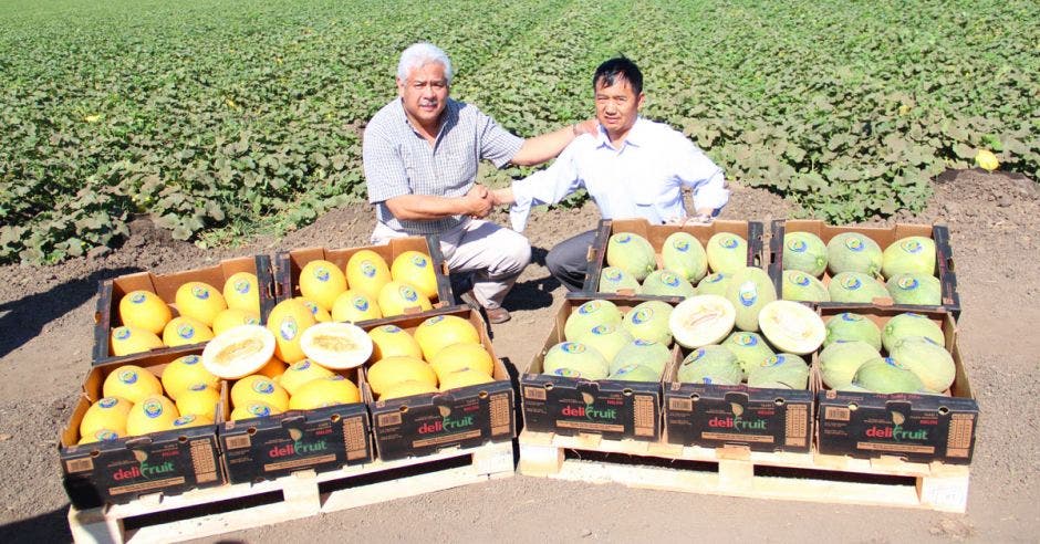 Granjeros ticos visitaron la Academia China de Ciencias Agrícolas Tropicales para aprender técnicas agropecuarias nuevas.