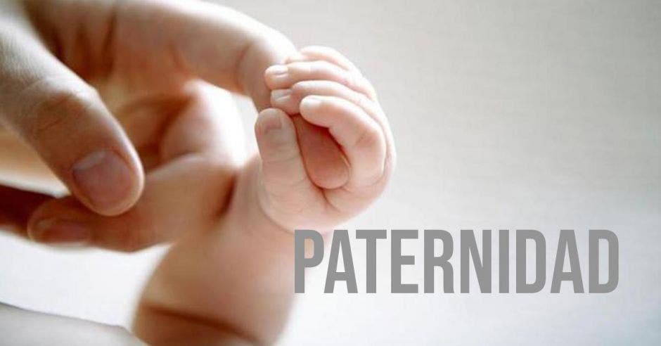 paternidad