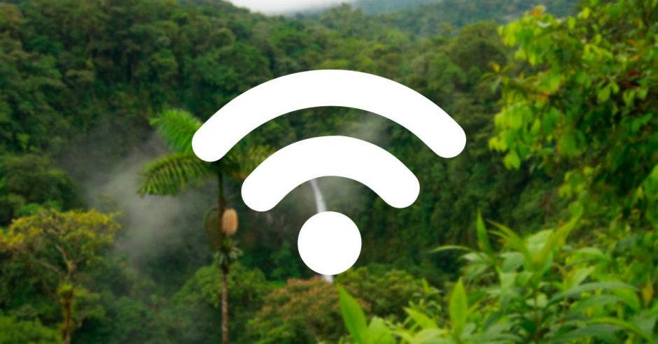 Un bosque con la señal de wifi