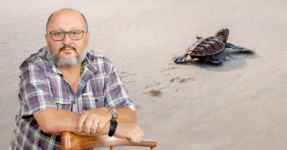 Latin American Sea Turtles ha capacitado a más de 60 mil personas en el país para que sean voluntarios, dijo Didier Chacón, creador de la ONG . Esteban Monge/La República