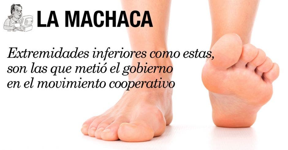La Machaca