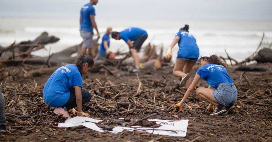 personas limpiando una playa