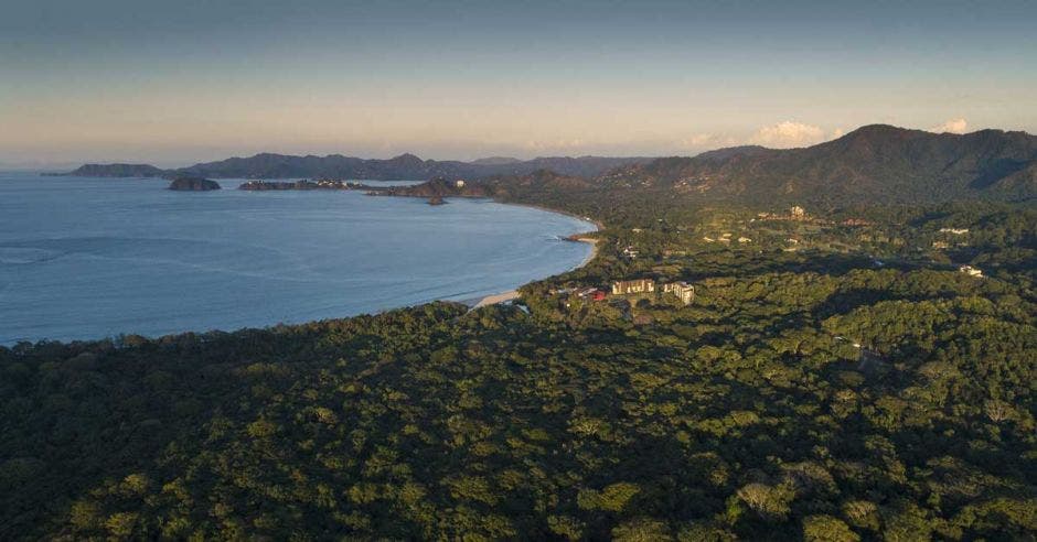 bosque cerca de la playa