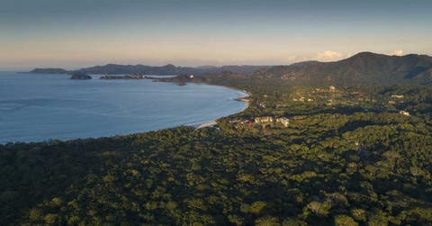 bosque cerca de la playa