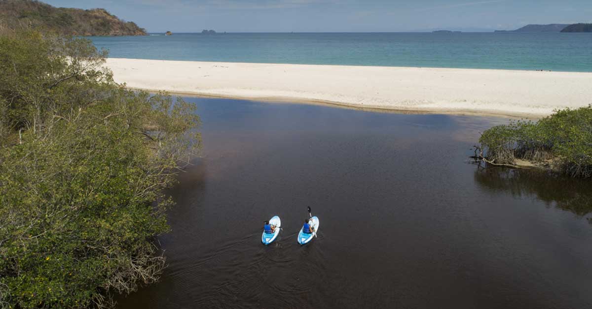 kayak