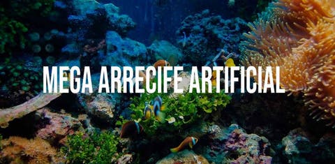 Peces alrededor de un coral