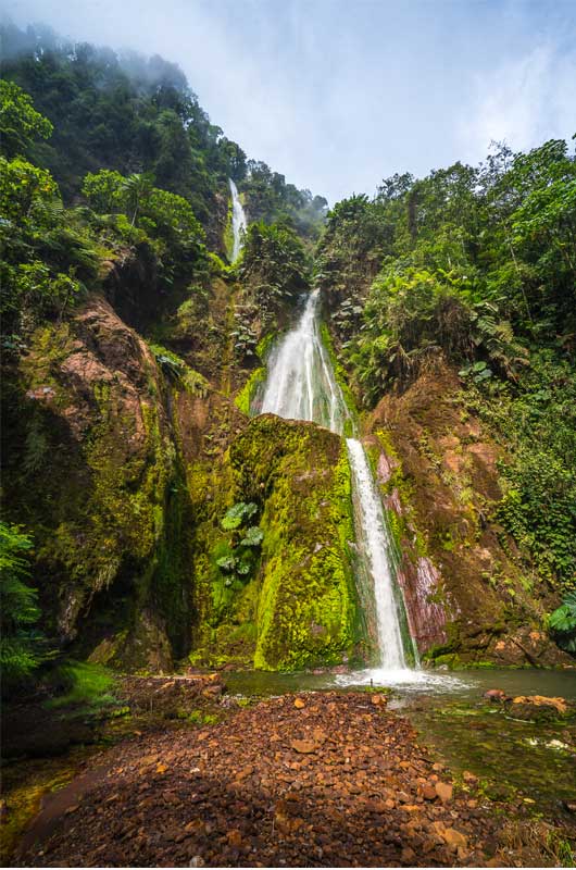 catarata