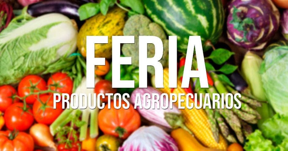 Feria agricultor