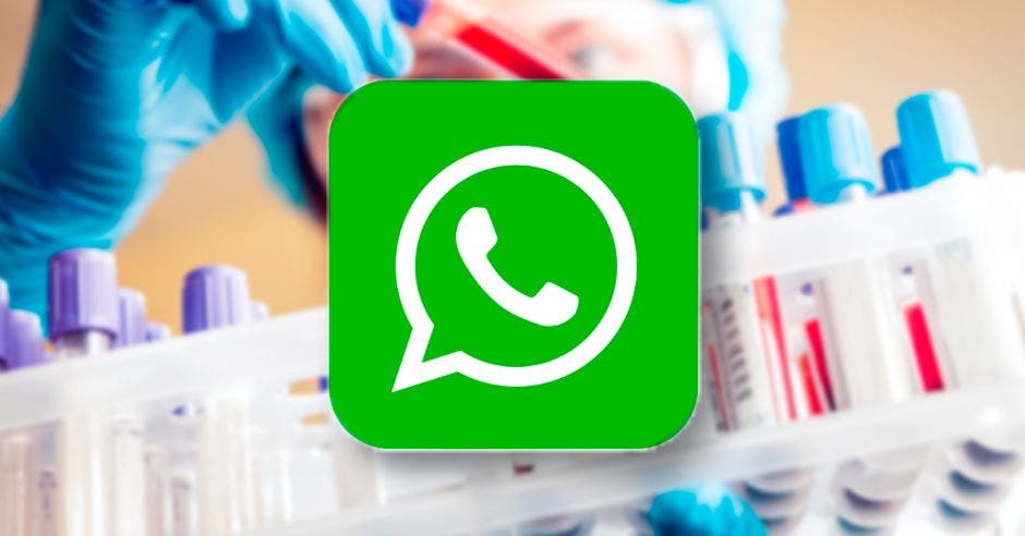 ícono de WhatsApp y atrás muestras de laboratorio