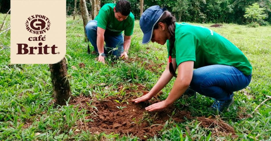 Voluntarios Café Britt