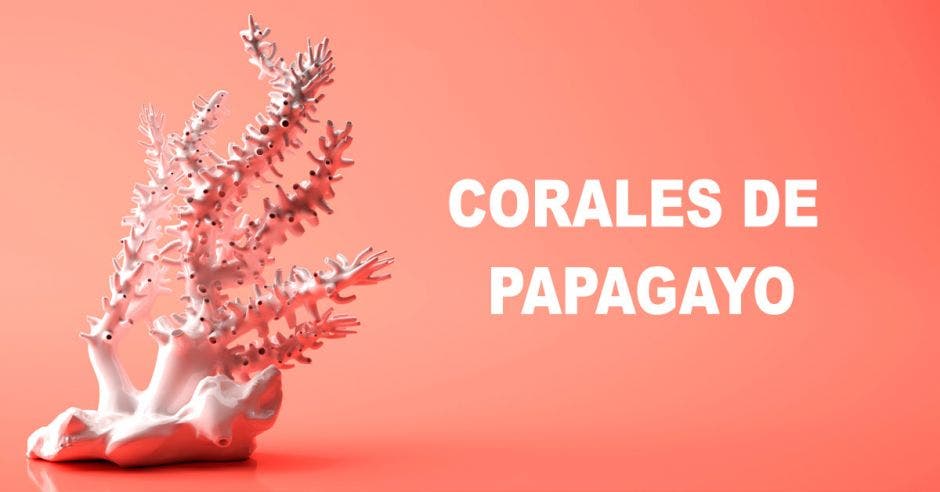 Corales de Papagayo