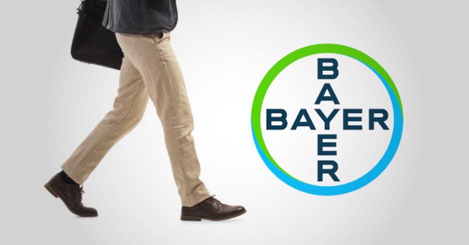 Experto de Bayer