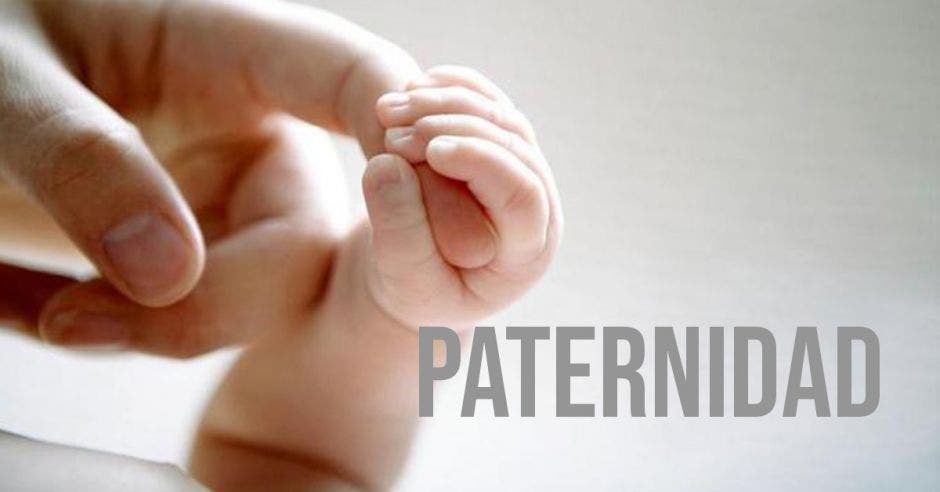 Paternidad