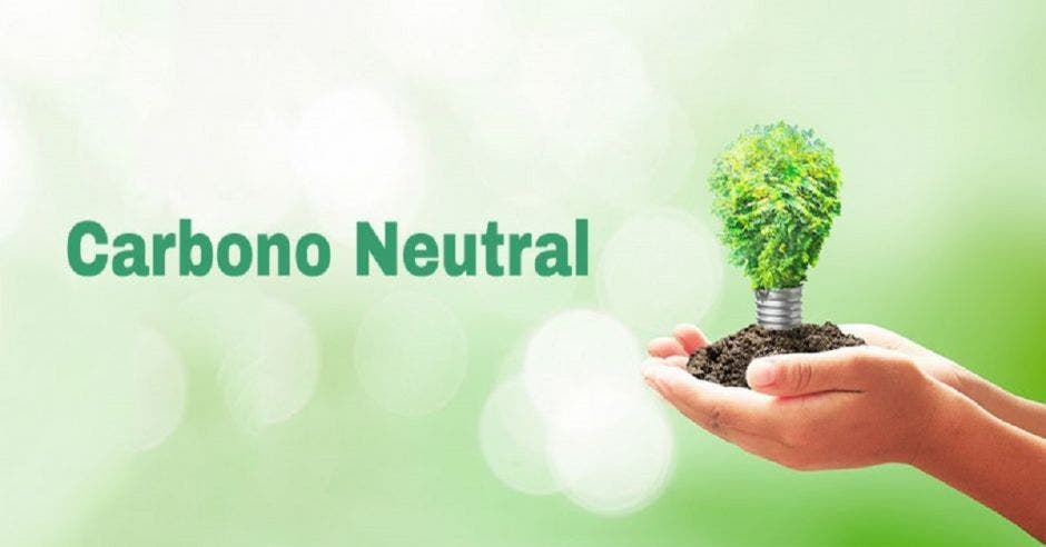 Unas manos sosteniendo un árbol junto con la palabra carbono neutral