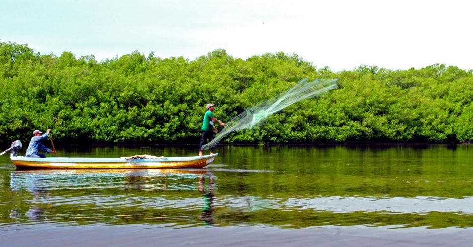 un pescador tirando su red