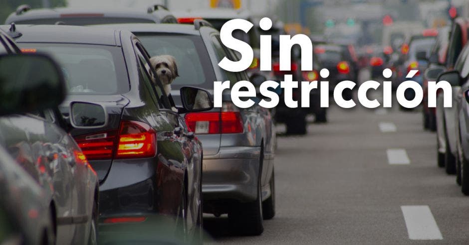 Restricción vehicular