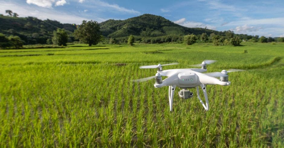 Un dron sobrevolando un campo verde