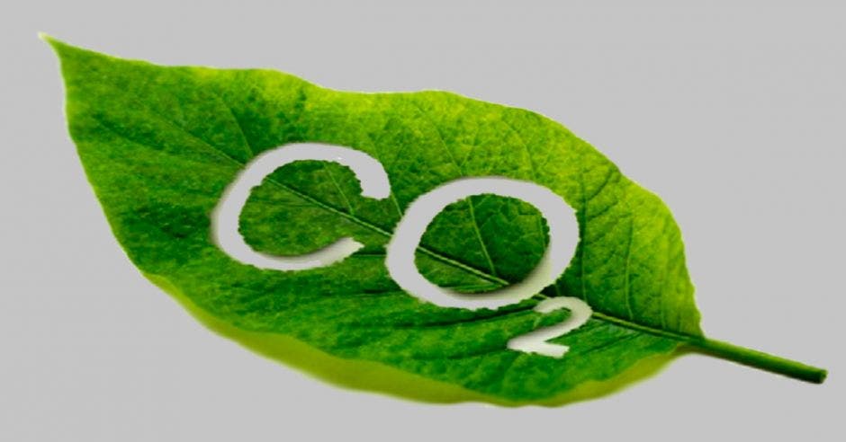 Una hoja con las siglas CO2