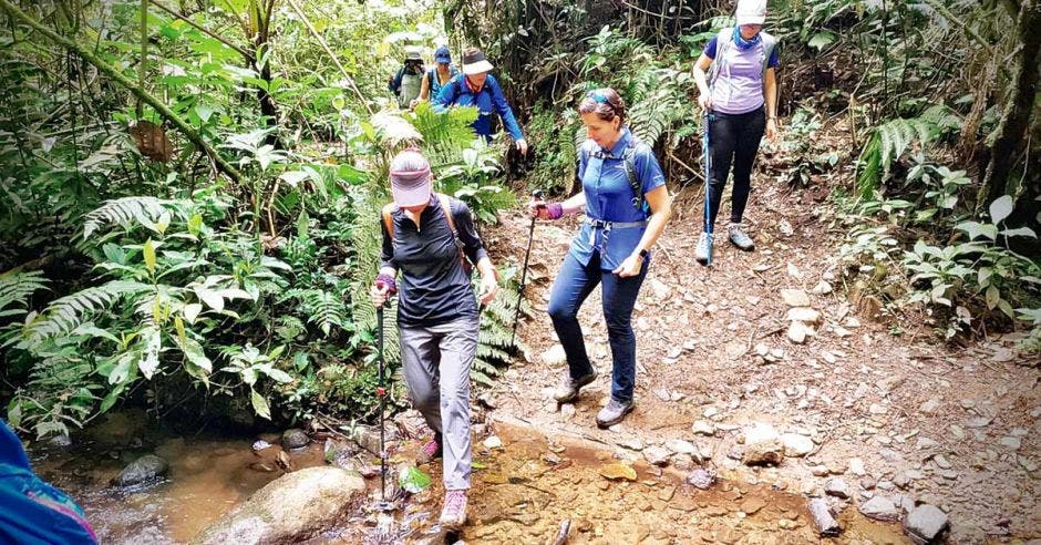 caminantes pasan por río en el bosque