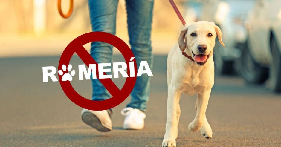 El gobierno pide a los romeros no llevar animales a la caminata. Archivo/La República
