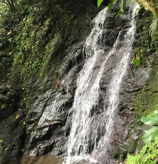 catarata