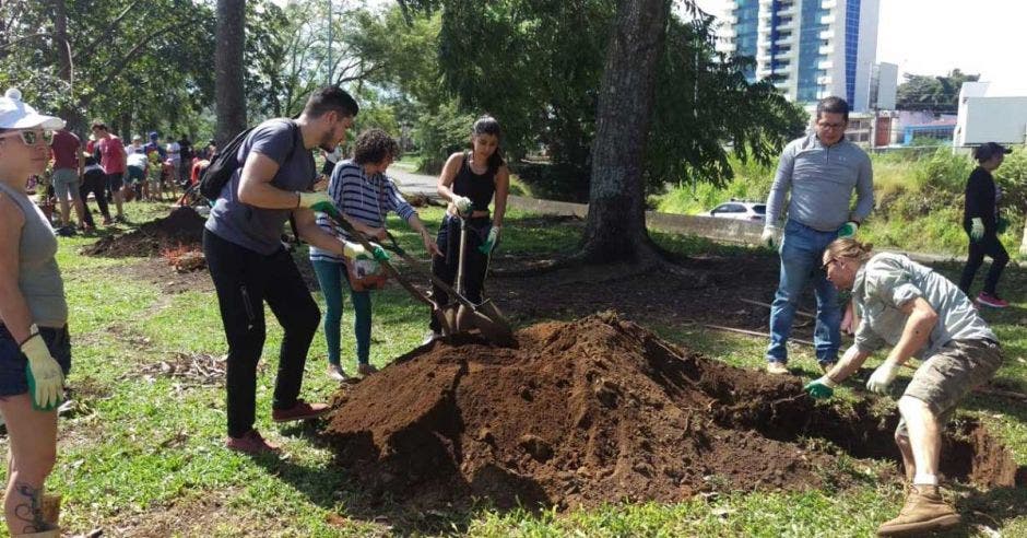 personas plantando arboles