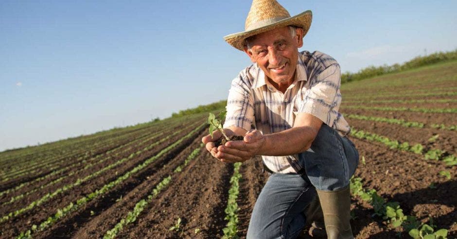 Potenciar la asociatividad en las cadenas agrícolas es vital. Archivo/La República