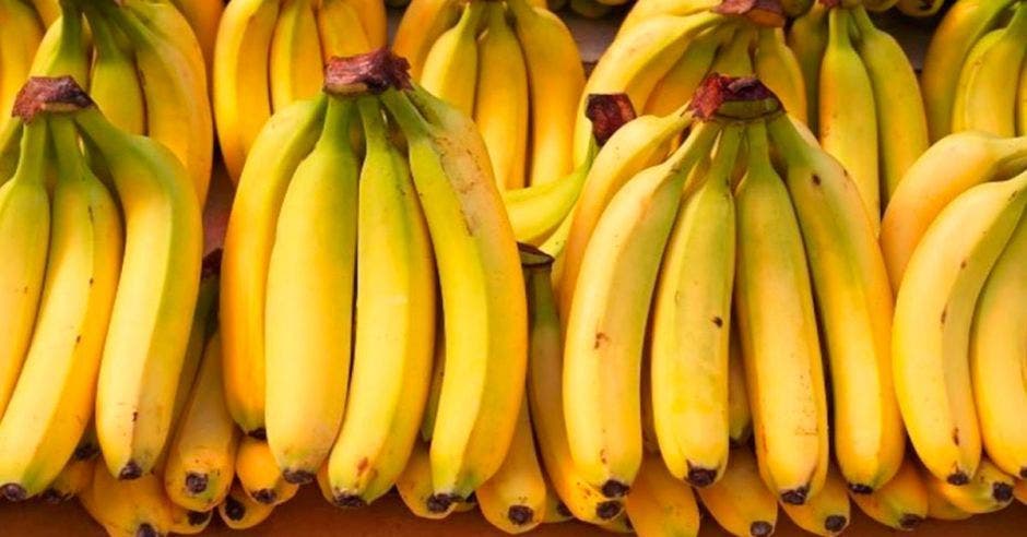 Este banano diferenciado será producido bajo la implementación de prácticas agrícolas sostenibles. Archivo/La República