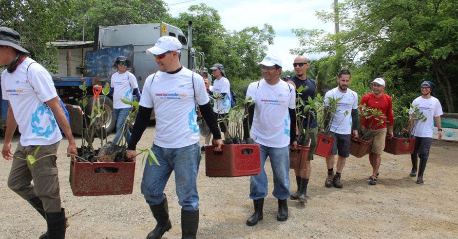 Un grupo de voluntarios colabora con acciones ambientales, como parte del plan de Responsabilidad Empresarial de AERIS