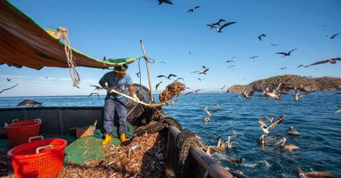Pesca de arrastre