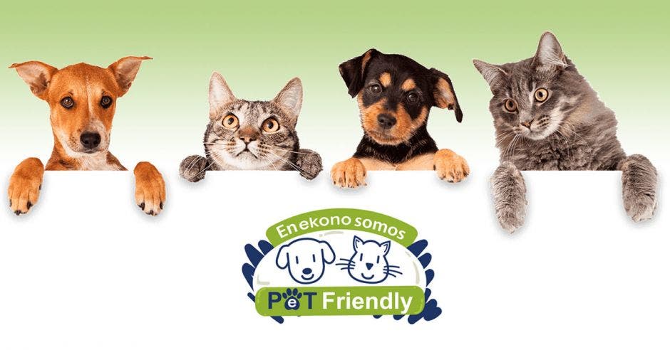 Perros y gatos