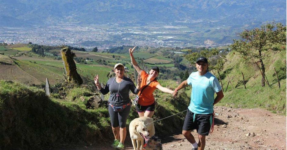 personas en montaña y perros