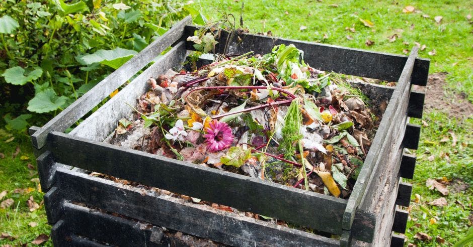 Una caja llena de compost