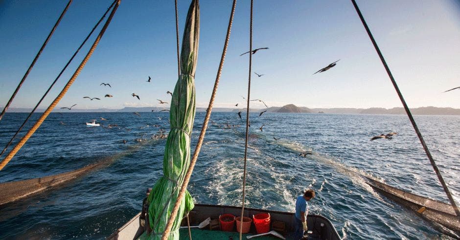 Una embarcación de pesca de arrastre