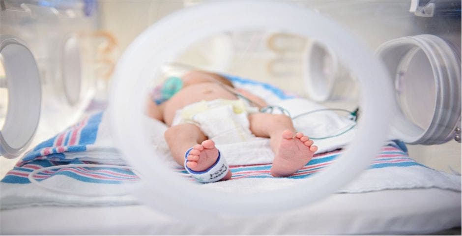 Un bebé en una incubadora