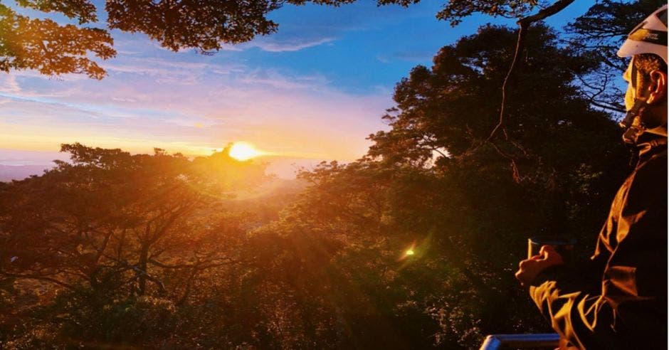 vista desde el bosque