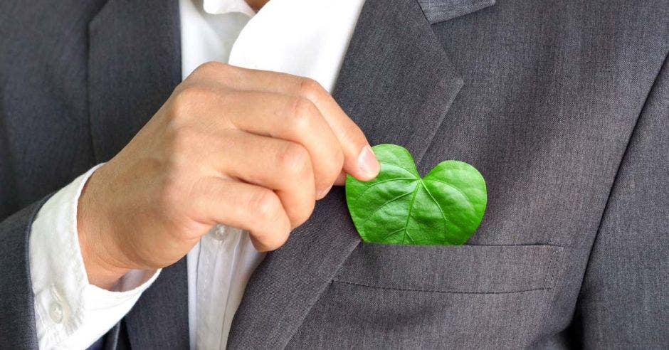 persona de traje entero, se guarda en el bolsillo del traje gris, una hoja en forma de corazón en su bolsillo