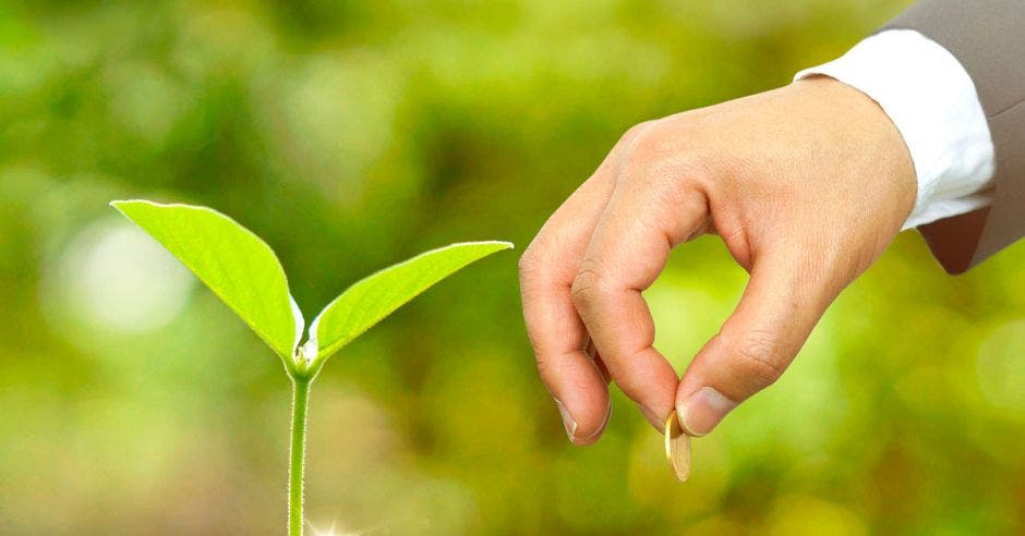 Mano con moneda en la mano, la pone en un puñito de tierra con monedas, del que crece una planta