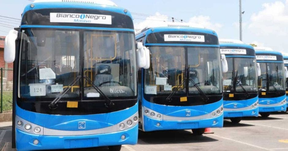 Buses eléctricos color azul parqueados en un plantel