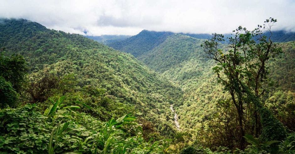 Vista aérea del Parque Nacional Braulio Carrillo