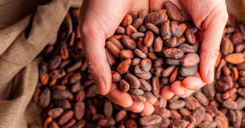 Durante el 2018, Costa Rica fue el exportador de ingredientes de cacao número 71 en el mundo. En total, el país exportó $1,2 millones. Shutterstock/La República.