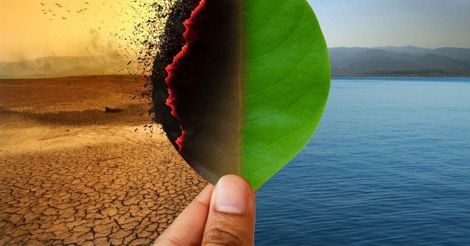 hoja de un árbol , al  lado derecho  verde con mar de fondo, y al izquierdo, quemada con un desierto de fondo