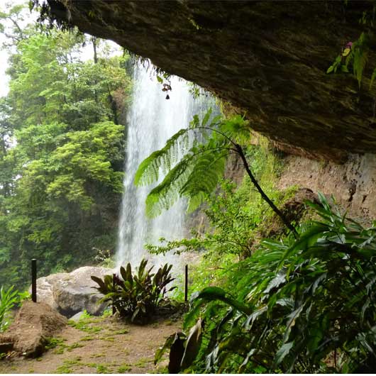 catarata