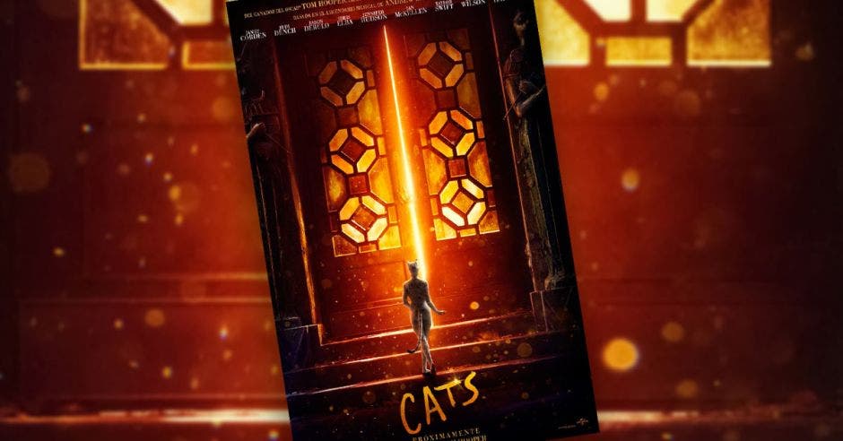 Poster de película cats