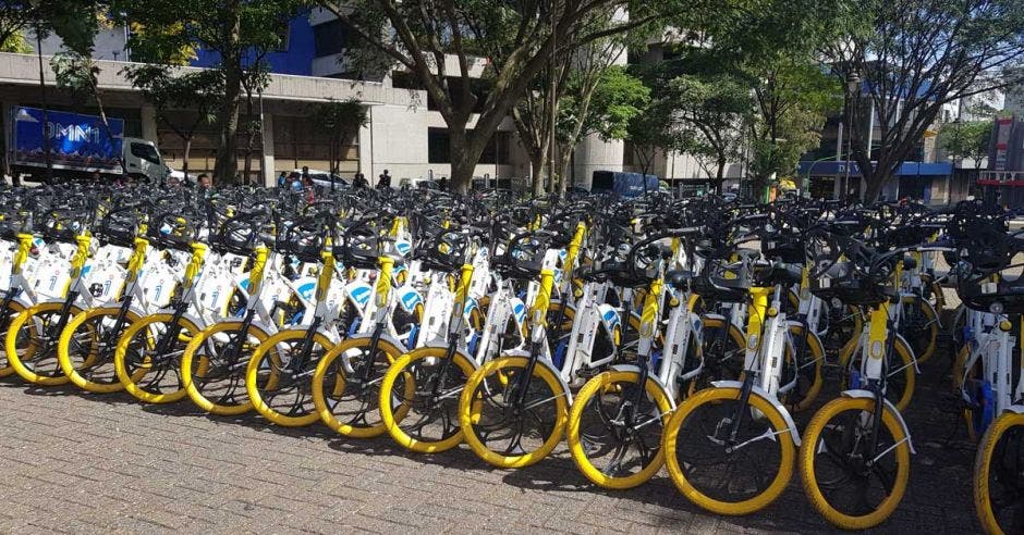 Bicicletas de omni acomodadas en un parqueo capitalino