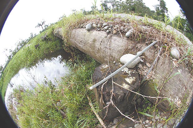 Puente rústico hecho con troncos de árboles